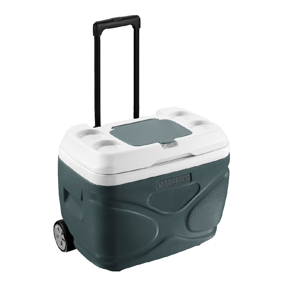 Caixa Térmica Cooler Grande 30 Litros Com Rodas Reforçadas e Alça