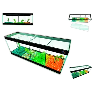Beteira 4 divisões Aquário Vidro Retangular 40x12x15 4,3l Peixes Betas