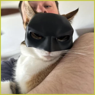 Máscara De Halloween Preta Para Gatos Animais Fofa E Divertida Performances gelat2br