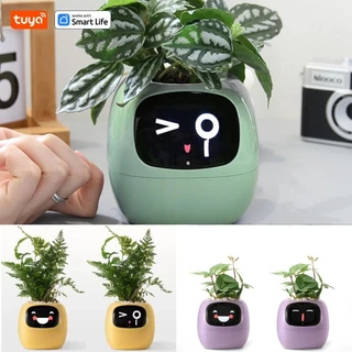 Plantador Inteligente Lvy , Diversão Infinita Com Mais De 49 Expressões Ricas , 7 Sensores Inteligentes , Chips AI Tornam Plantas Fáceis E Divertidas