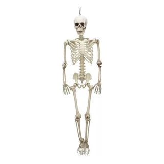 Caveira Esqueleto Grande Anatomia 1.65cm Articulado Halloween esqueleto para halloween caveira