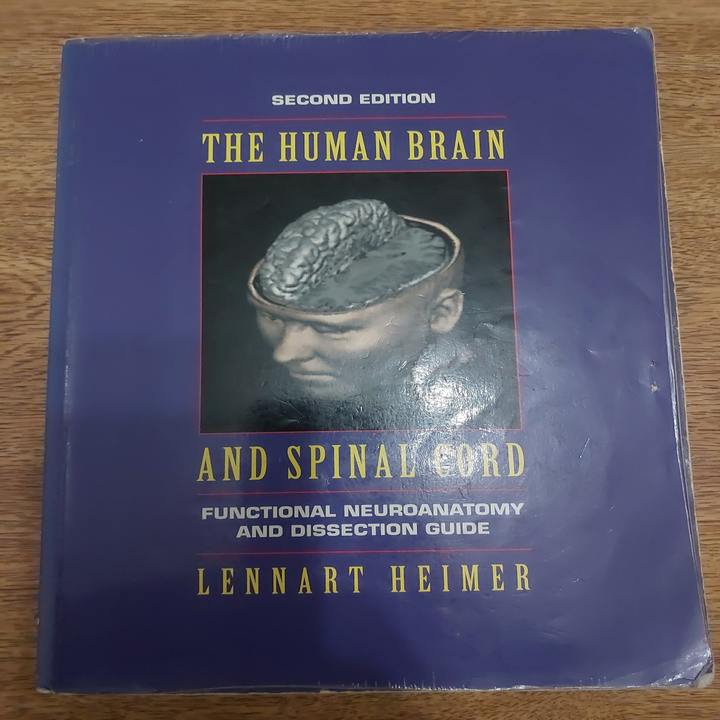 The Human Brain And Spinal Cord - Functional Neuroanatomy And ...