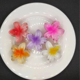 Novo Estilo Clip de Cabelo Flor Bauhinia Clip de Cabelo Bauhinia Clip de Agarramento Feminino Clip de Temperamento Tubarão Acessórios de Cabelo Gradiente Frangipani Acessórios de Cabelo Feminino