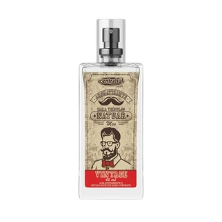 Aromatizante Spray Natuar Men Vintage 45ml Centralsul Carro