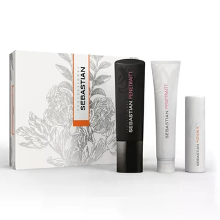 Sebastian Gift Pack Professional Styling: Shampoo 250ml e Máscara Penetraitt 150ml+ Potion 9 50ml
