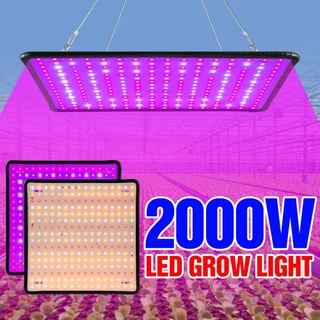 Placa de Luz 2000w Quantum Painel Espectro Completo para Crescimento de Plantas em Todos Ambientes