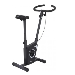 Bicicleta Ergométrica Vertical Dream Fitness EX 450 Uso Doméstico Residencial Chumbo