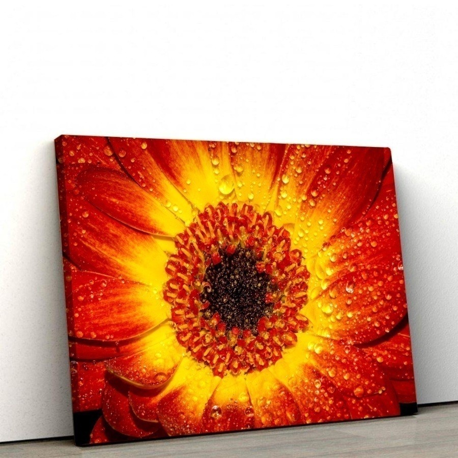 Quadros Decorativos de PVC 004 - 40 x 60 cm | Shopee Brasil