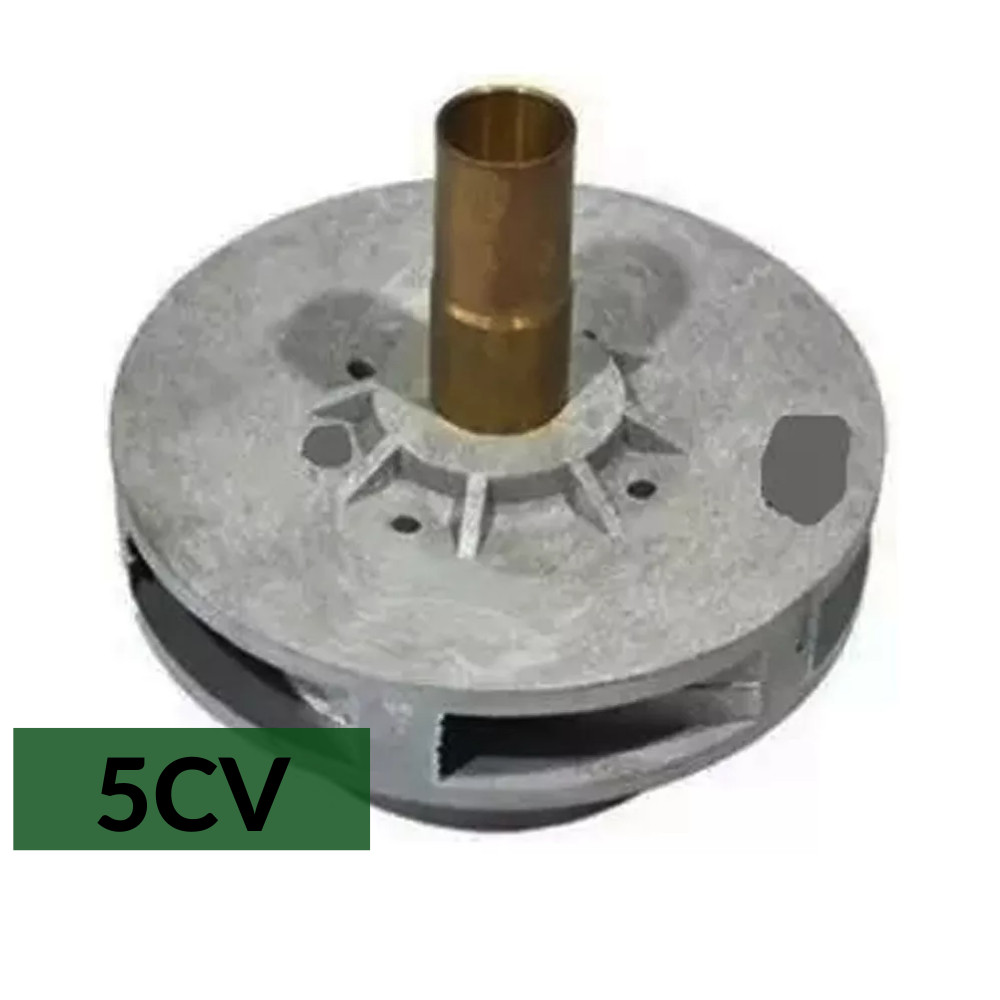 Rotor Original Albacete para Bomba 5 CV Modelos APH/APP 9 | Shopee Brasil