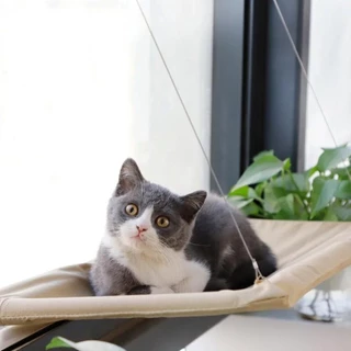 Caminha Cama Rede Suspensa de Janela para Gato Pet com Ventosa Gatificação Interativo até 15kg