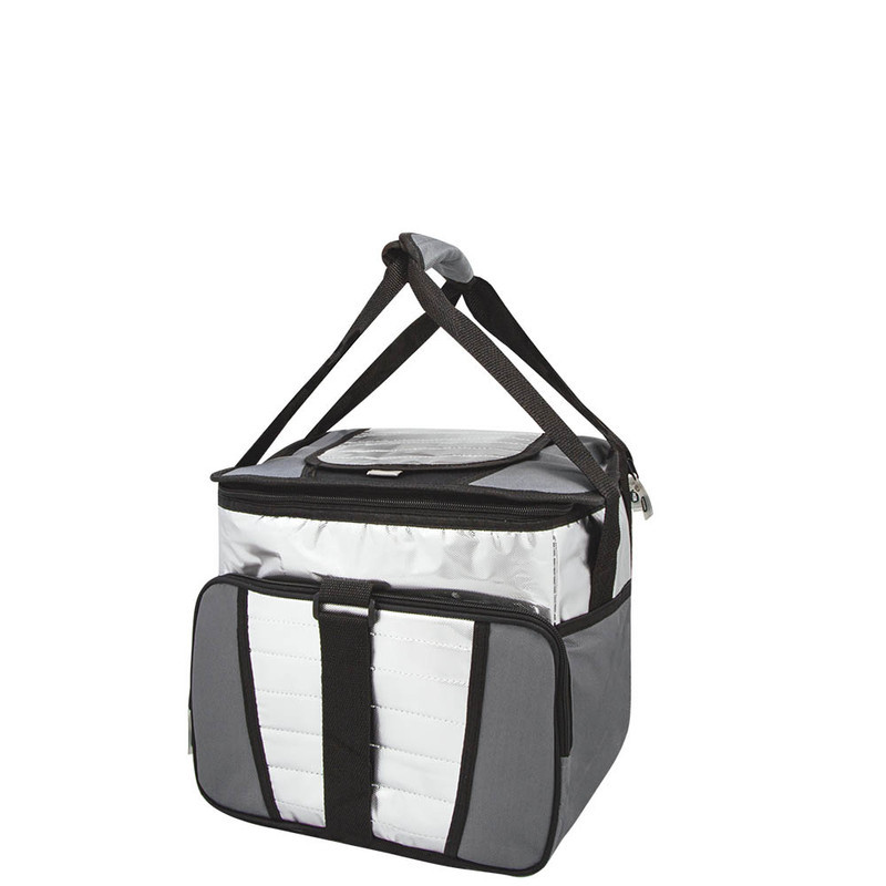 COOLER 24 L 1 DIVISORIA MOR Piquenique