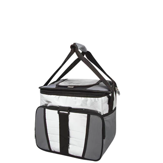 COOLER 24 L 1 DIVISORIA MOR Piquenique