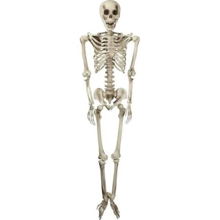 Esqueleto de Plástico Articulado Assustador Decoração enfeite Halloween Horripilante