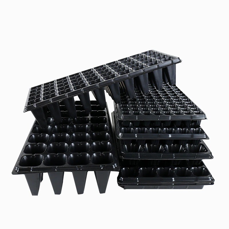 Kit 10 Bandejas Cultivo Mudas Café Morango 72 Células 288901