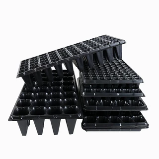 Kit 10 Bandejas Cultivo Mudas Café Morango 72 Células 288901