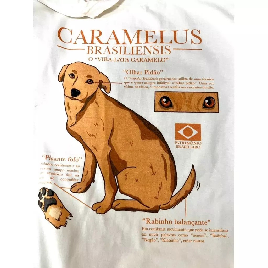 Camiseta 100% Algodão Cachorro Caramelo