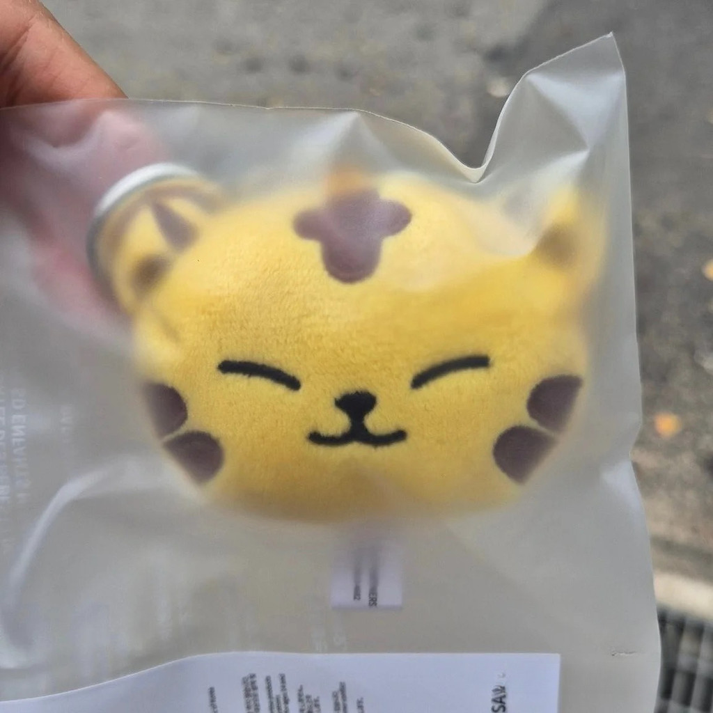 Kpop SVT Dezessete Chaveiro De Pelúcia Bolsa Charme Pingente