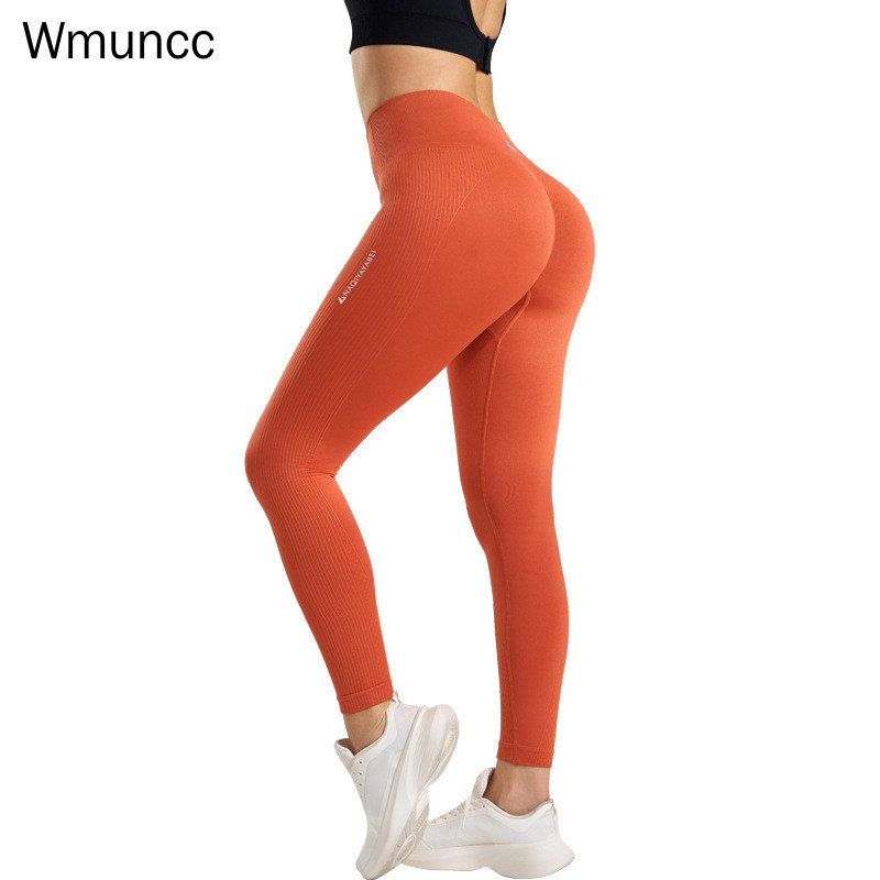 Yoga Pants: Guia Completo e Onde Comprar | BuscaProdutos