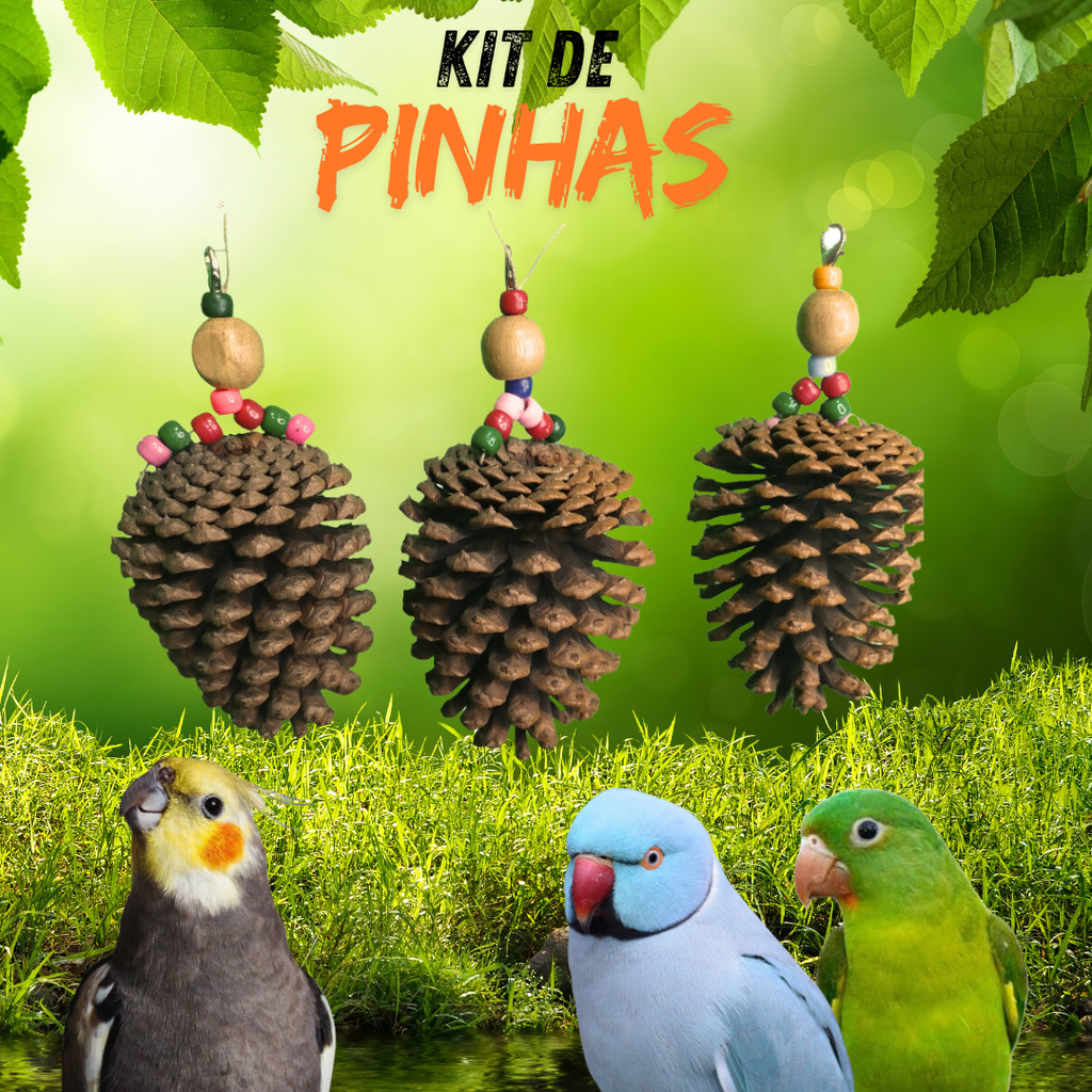 Brinquedo Penduricalho Pássaros Kit Pinhas Calopsita, Agaporni, Periquito, Papagaio, Ring Neck