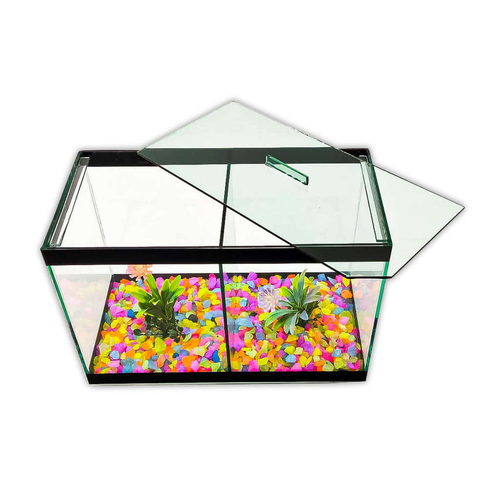 Aquário N3 Duplo Com Divisão Decorado 30x15x20 8,5l 2 Peixes