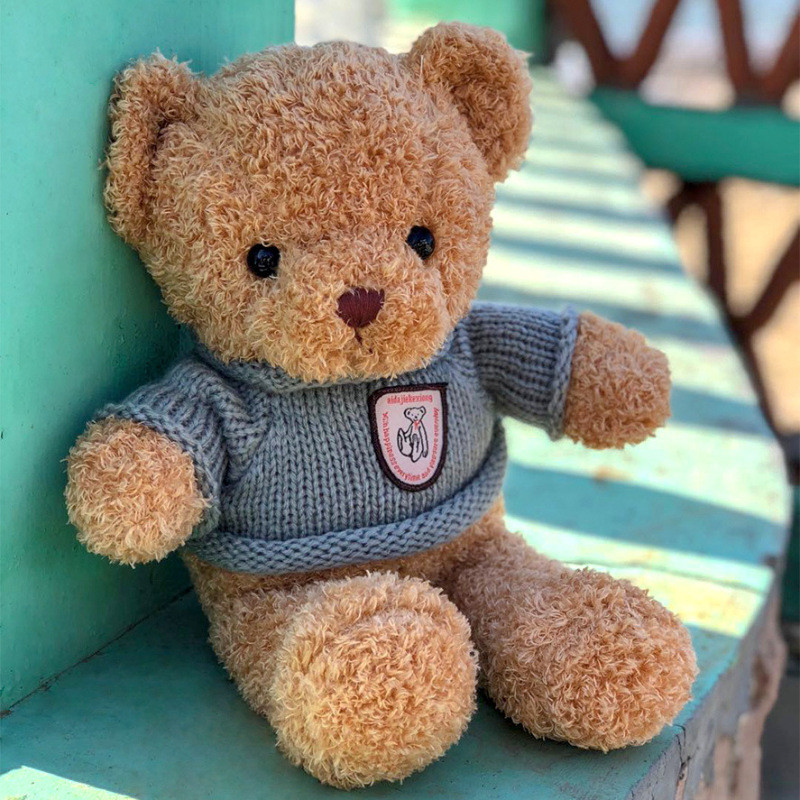 Cute Hugging Bear Teddy Bear Figurine Doll to Sleep with Dressing Bear ...