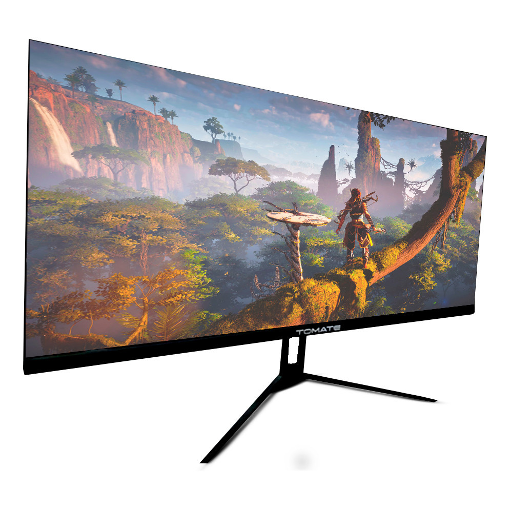 Monitor 29 POLEGADAS Led Hdmi Dp 75hz 1ms Vesa Ajustável TV PC Gamer ...