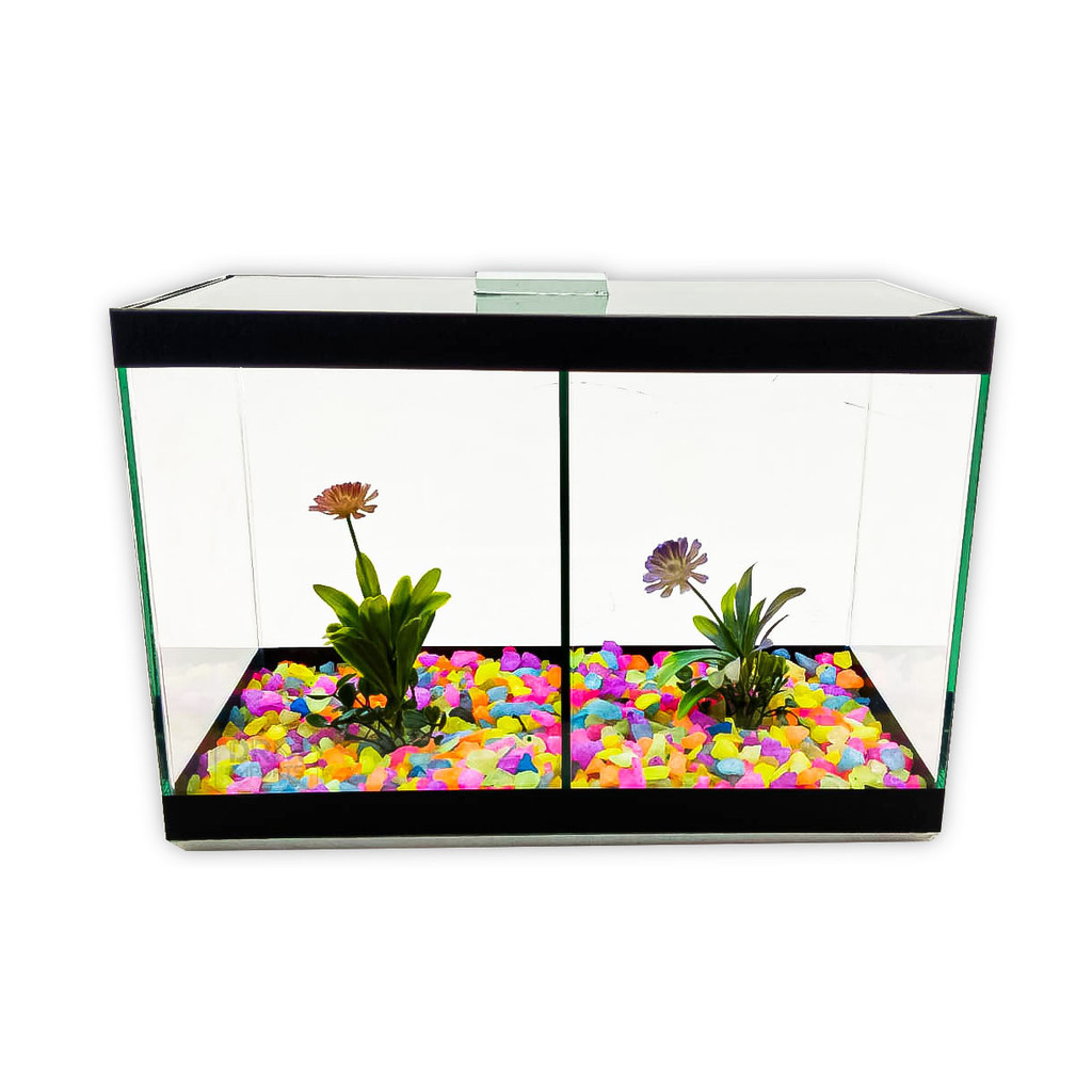 Aquário N3 Duplo Com Divisão Decorado 30x15x20 8,5l 2 Peixes