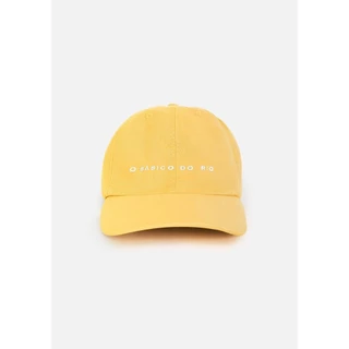 Boné Masculino Aba Curva Com Bordado Hering