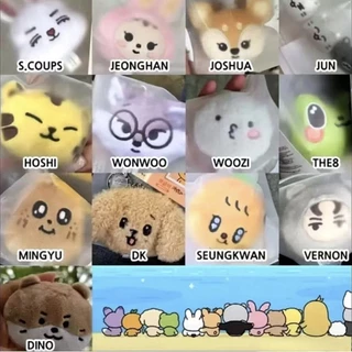 Kpop Ídolo Dezessete Chaveiro De Pelúcia Saco Charme Pingente JEONGHAN JOSHUA JUN WONWOO HOSHI Animais Bonitos Bonecas C em Oferta na Shopee