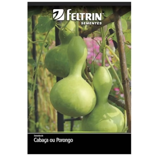 Gracyelle Feltrinさん専用 10 Sementes Amor-perfeito Suiço Feltrin Sementes 1g