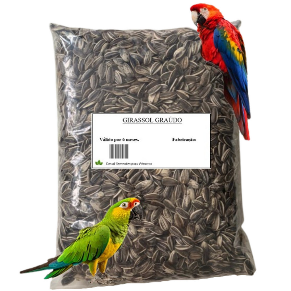 Semente Girassol Grande 5 Kg Para Pássaros Papagaio Graudo Limpa 1, 3 e ...