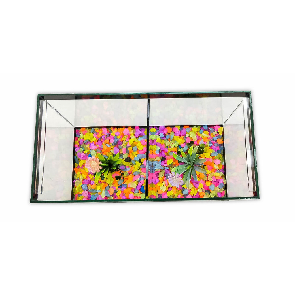 Aquário N3 Duplo Com Divisão Decorado 30x15x20 8,5l 2 Peixes