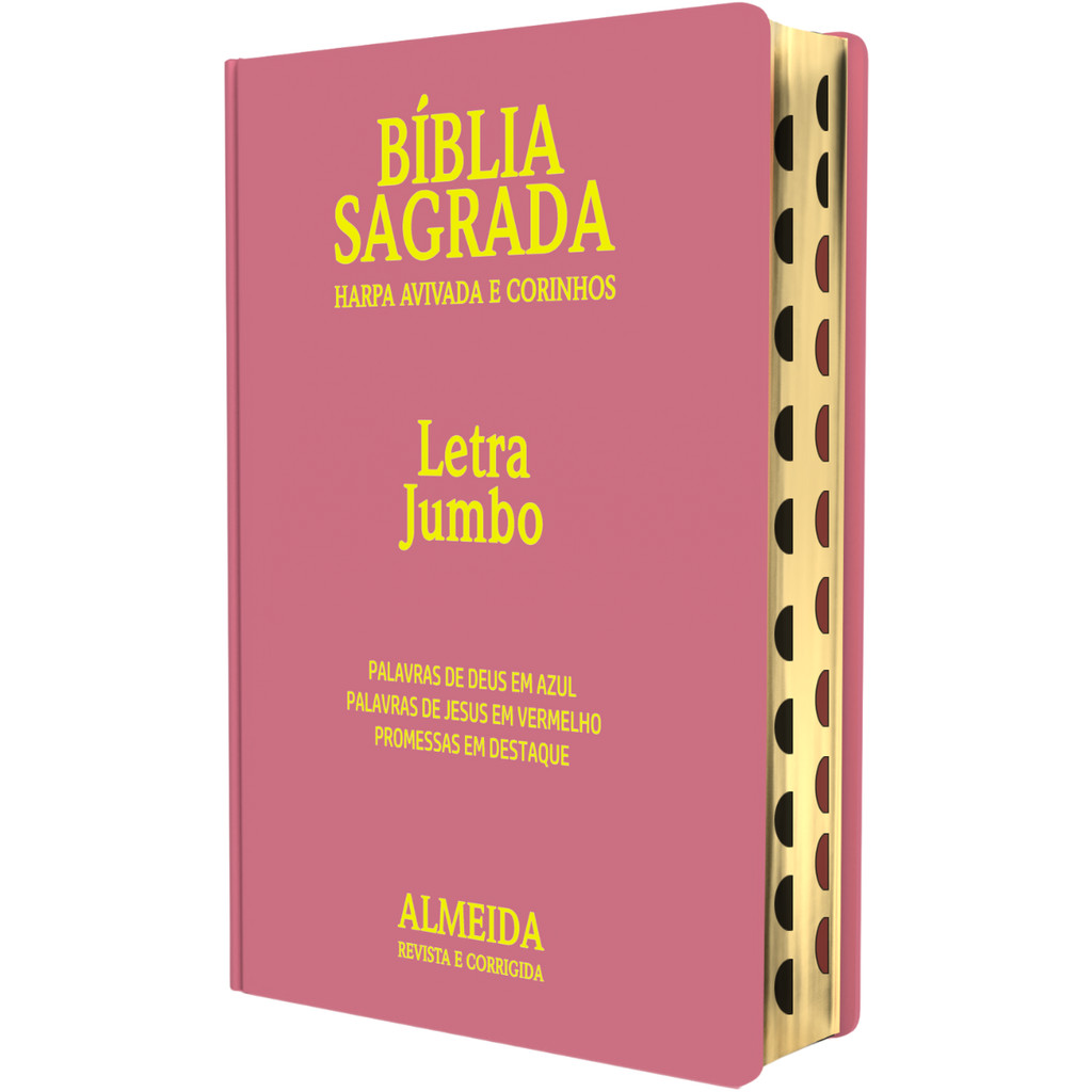 Biblia Feminina Letra Jumbo | Harpa &amp; Corinhos | RC | Luxo Rosa ...