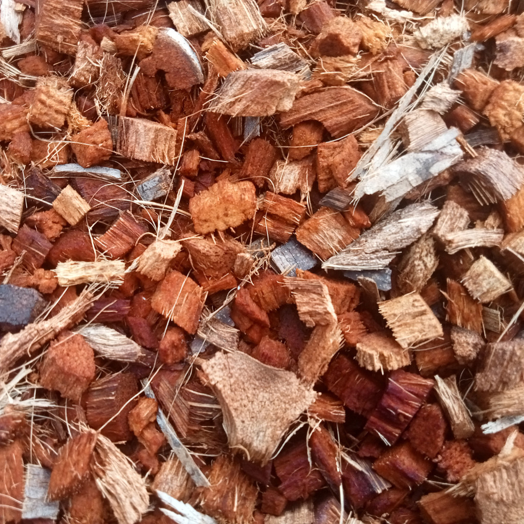 Chip de Coco para Substrato de Orquídeas, Rosa do Deserto, Cactos