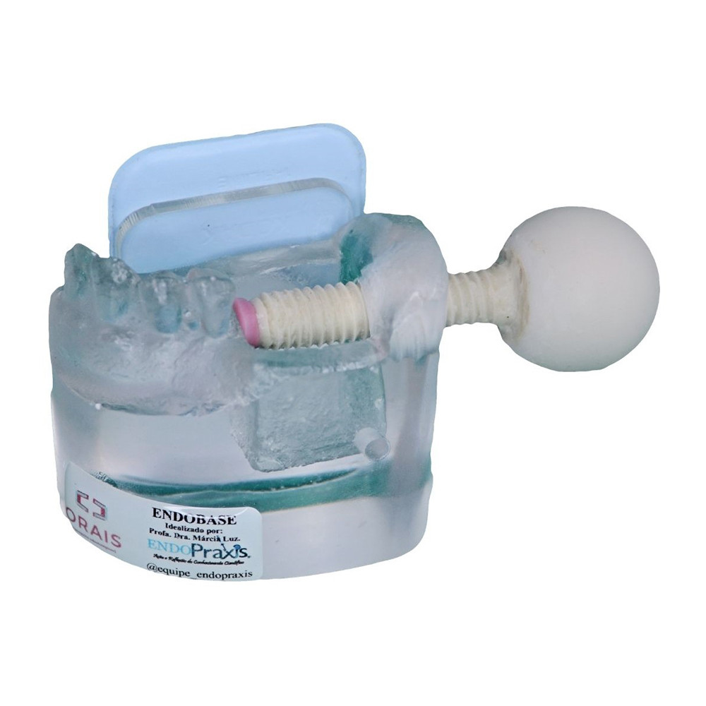 Dispositivo Endobase Transparente com Ventosa 6000 Orais | Shopee Brasil