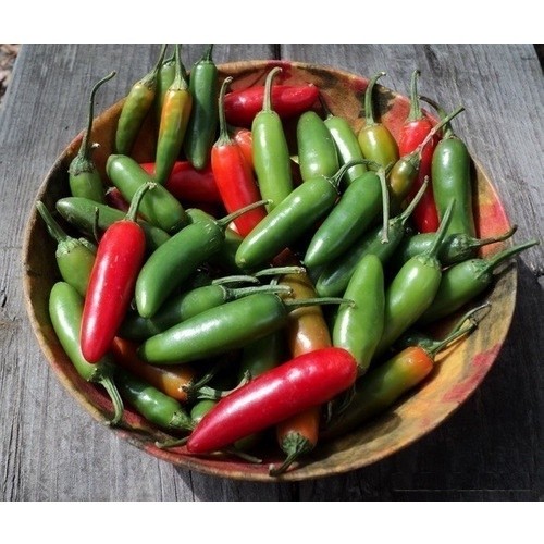 Pimenta Serrano Chili Capsicum 20 Sementes Raro II | Shopee Brasil