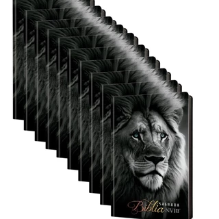 Kit 10 Bíblia Sagrada | NVI | Capa Dura | Letra Normal | Leão Soberano em Oferta na Shopee