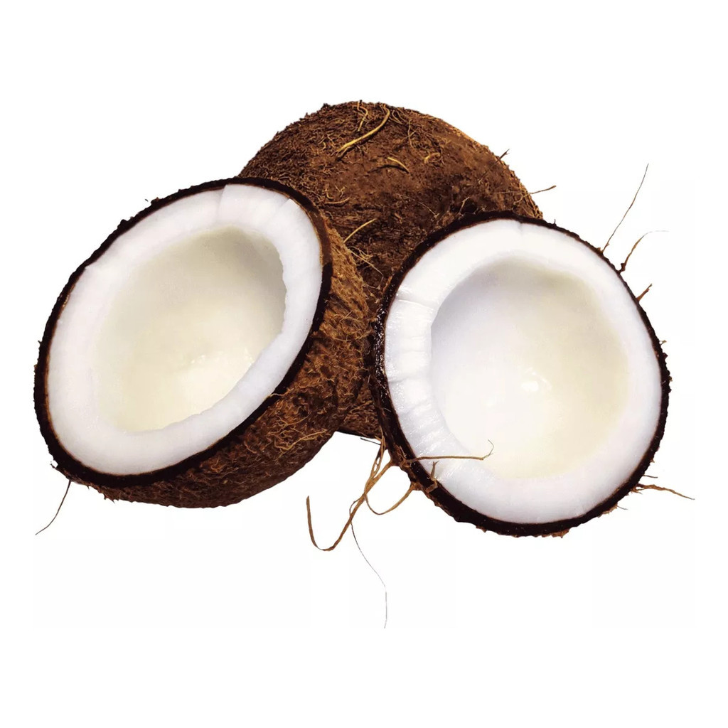 Coco Seco Inteiro Com 3 Un Fruta C/ Casca Cocada Nucifera | Shopee Brasil