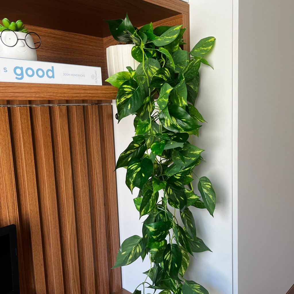Vaso Decorado com Planta Permanente Jiboia - Elegância Natural Premium e Sofisticação Atemporal