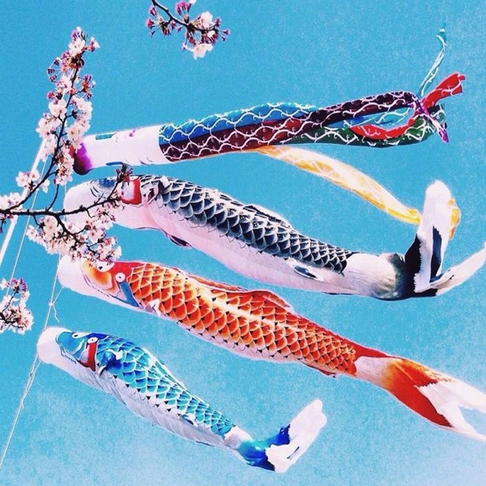 HW 70cm Koi Nobori Carpa Vento Meia Koinobori Peixe Bandeira