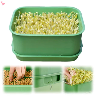 Kits De Germinação De Sementes Bandeja De Broto De Feijão Microgreens Propagadores Bandejas De Cultivo Germinadas Intern