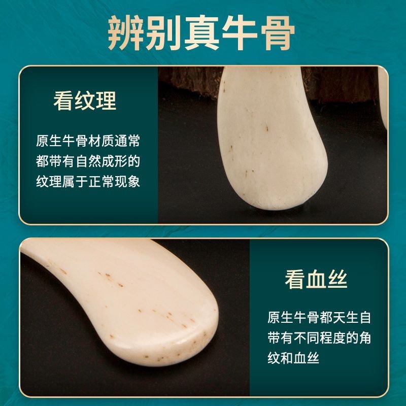 DBAO Osso De Vaca natural guzheng Unhas Desempenho-gr De | Shopee Brasil
