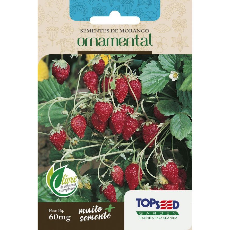 Sementes de Morango Ornamental 60mg - Topseed Linha Tradicional ...