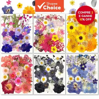 31/34 Unidades Flores Secas Prensadas Resina Natural Joias Scrapbook Gravação Artesanato Faça Você Mesmo em Oferta na Shopee