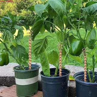 Antenas De Bobina De Cobre Para Jardinagem TIANCHUANG , Estacas De Plantas De Eletrocultura Com Haste Fio , em Oferta na Shopee