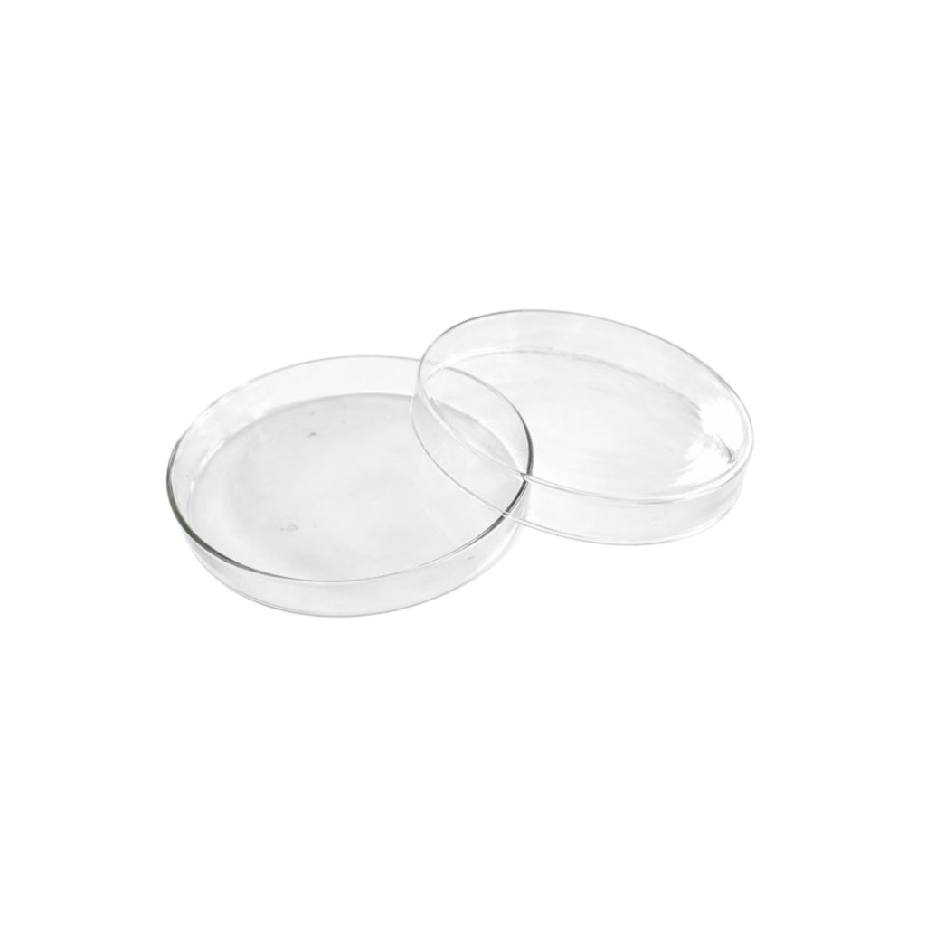 Placa De Petri Em Vidro 120x20mm Unidade | Shopee Brasil