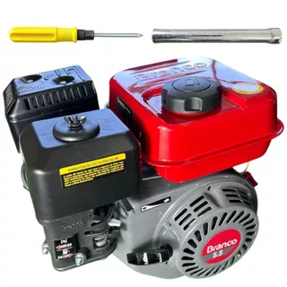 Motor a Gasolina B4T 5.5 55  Cv Horizontal 4 Tempos Com Alerta de Óleo Partida Manual Branco em Oferta na Shopee