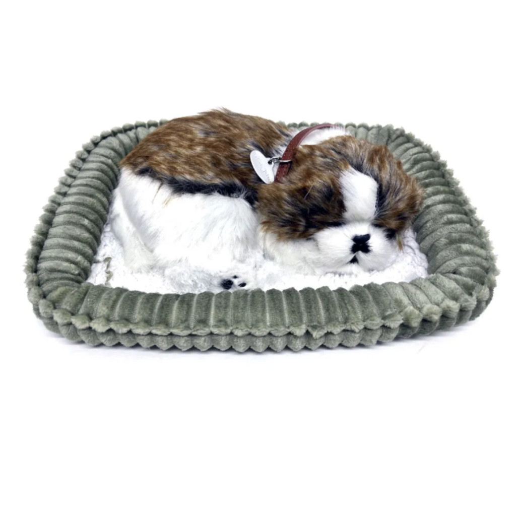 Pelucia Perfect Petzzz Shih Tzu | Shopee Brasil