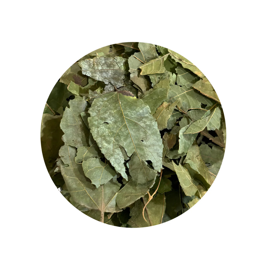 Mutamba Folha 500g | Shopee Brasil