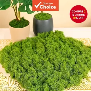 100g De Musgo Artificial – Para Micropaisagems DIY , Bonsai , Jardins De Rocha E Cenas Falsas em Oferta na Shopee